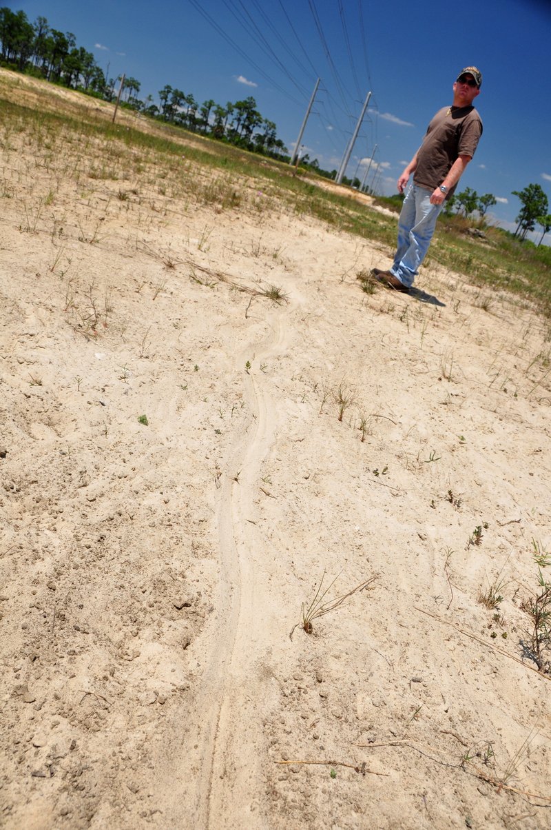 Gator Tracks