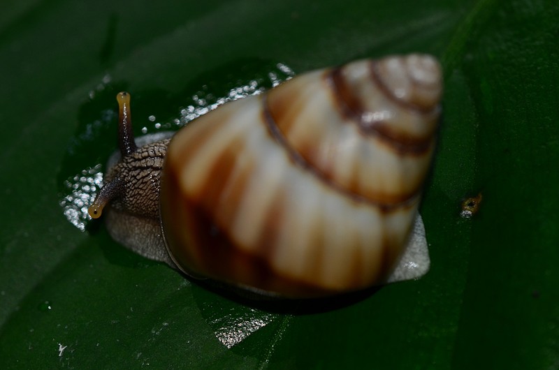 Frank's Photo Essays