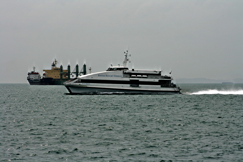 Ferry Penguin