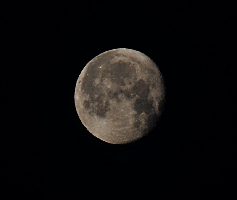 feb 19 7182 morning moon