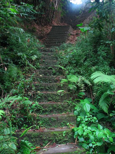 steps
