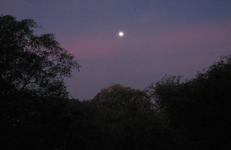 Bali evening and full moon