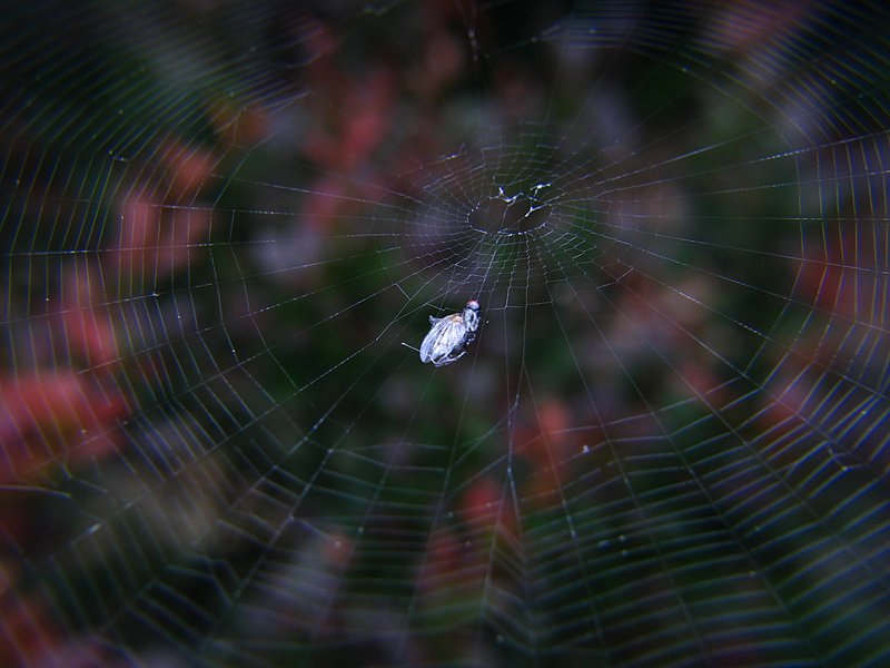 jun 10 3212 web