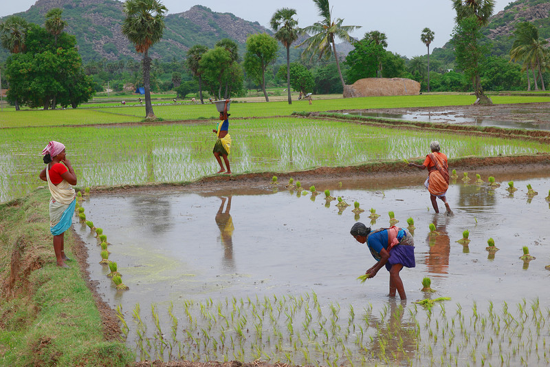 Photo essay examples filipino picture