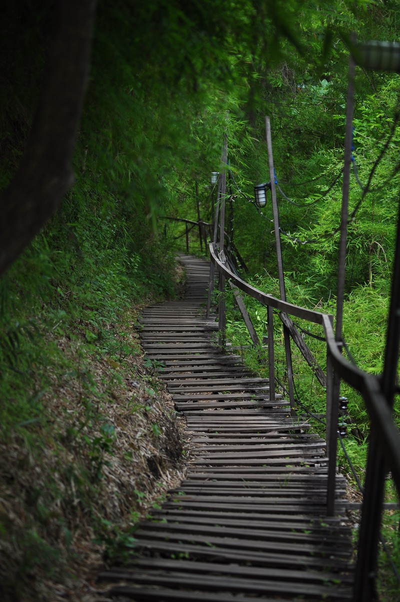 may 16 5500 steps