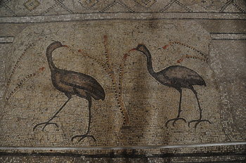 nov 18 1805 mosaic