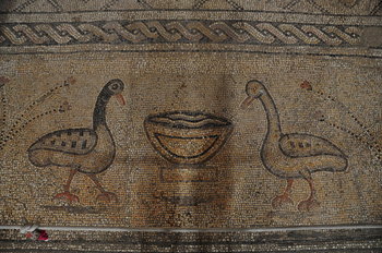 nov 18 1806 mosaic