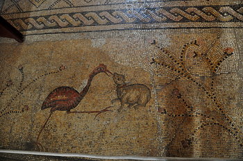 nov 18 1817 mosaic