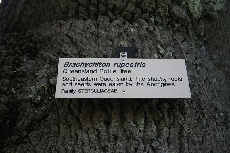 nov 19 3442 bottle tree sign