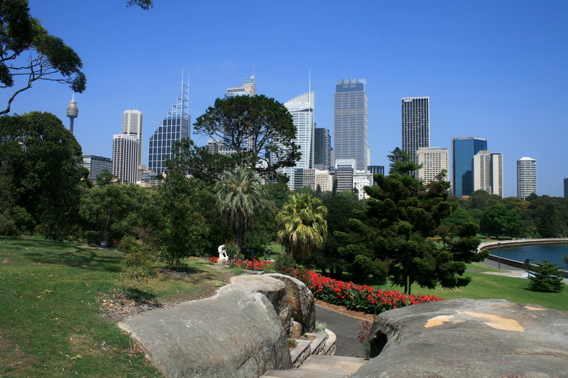 nov 19 3445 sydney skyline