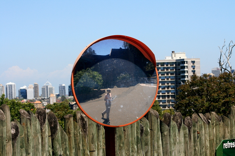 nov 20 3796 ellen reflection