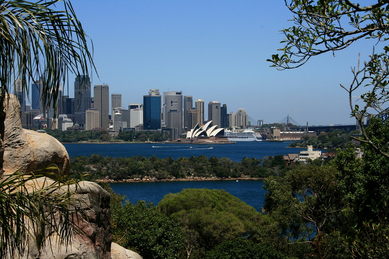 nov 20 3806 operahouse bridge