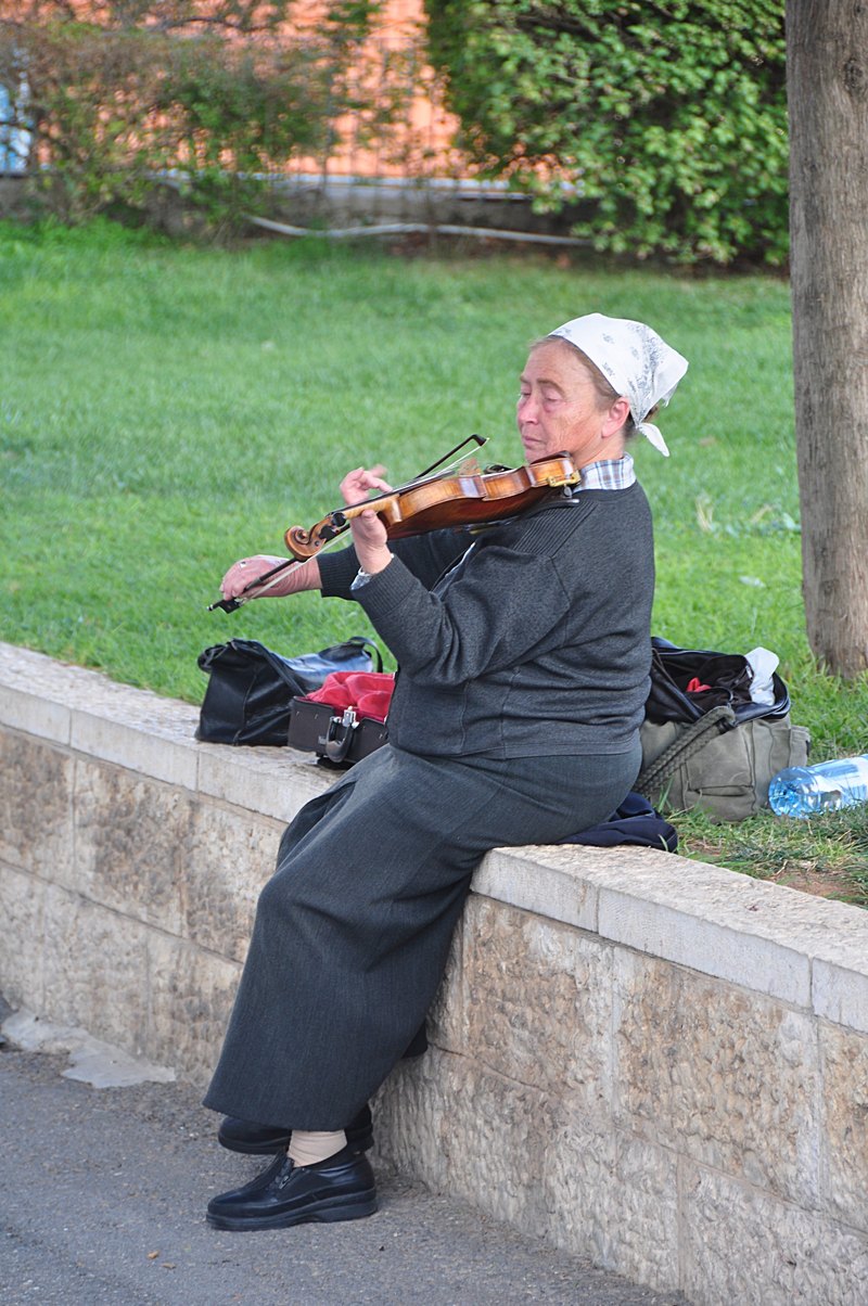 nov 21 2993 fiddler