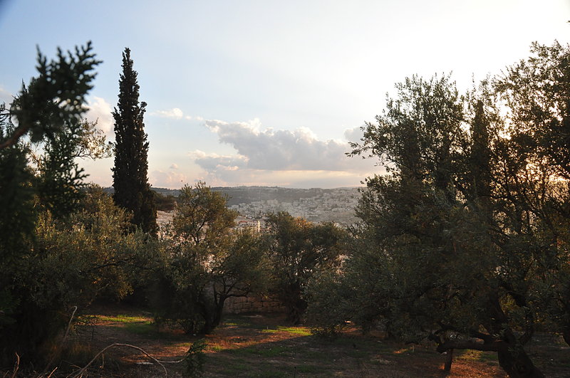 nov 21 3021 mt olives
