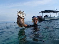 pulau mapur indonesia